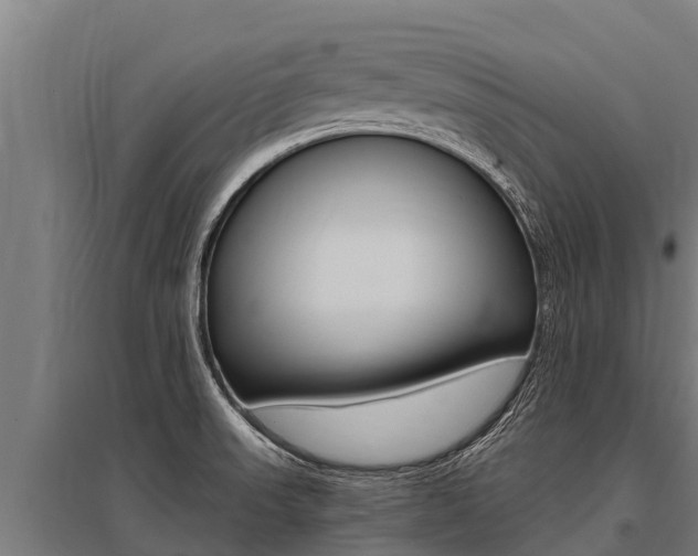 X0000096141523200801180840