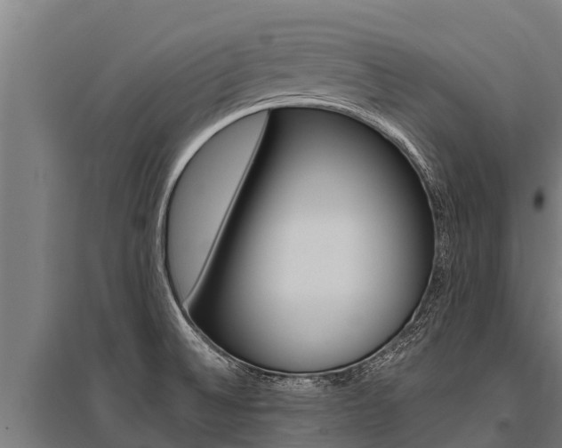 X0000096141524200801180840