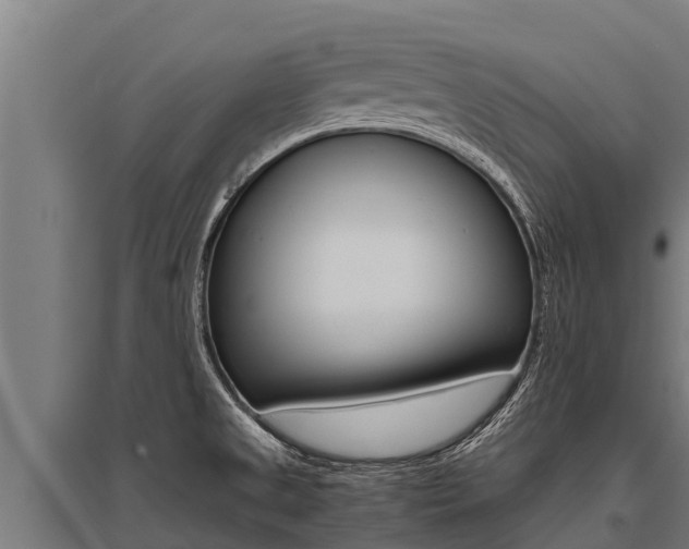 X0000096141525200801180840
