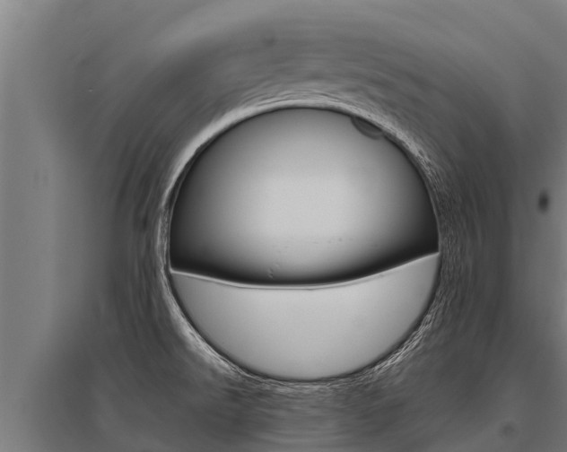 X0000096141526200801180840
