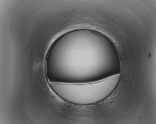 X0000096141527200801180840
