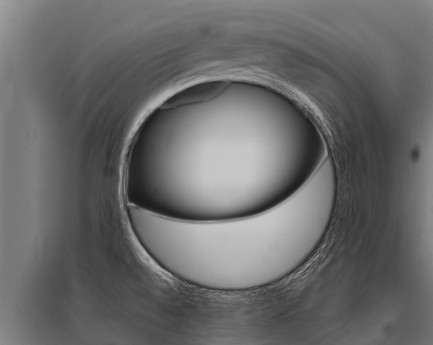 X0000096141528200801180840