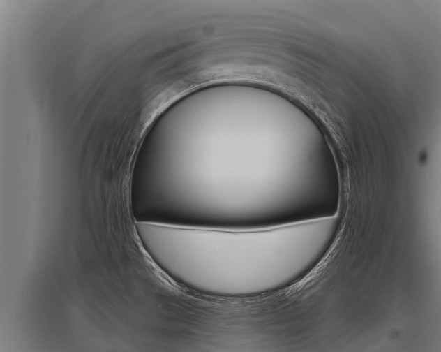 X0000096141529200801180840