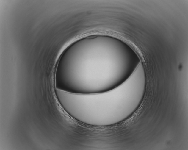 X0000096141530200801180840