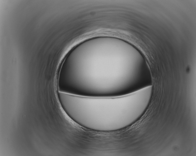 X0000096141531200801180840