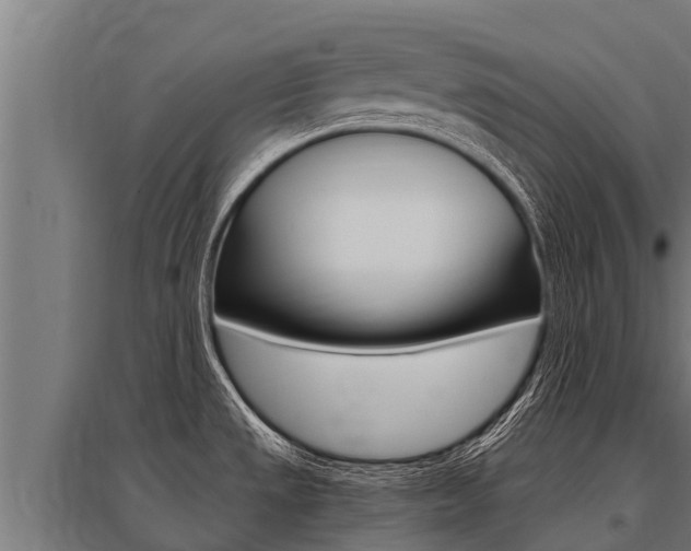 X0000096141533200801180840