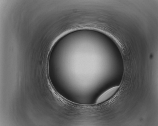 X0000096141534200801180840