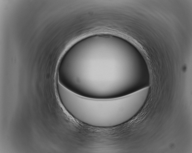X0000096141536200801180840