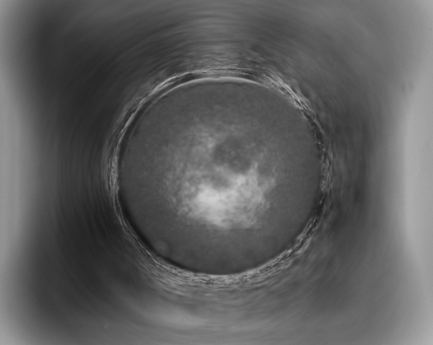 X0000096140002200801181142