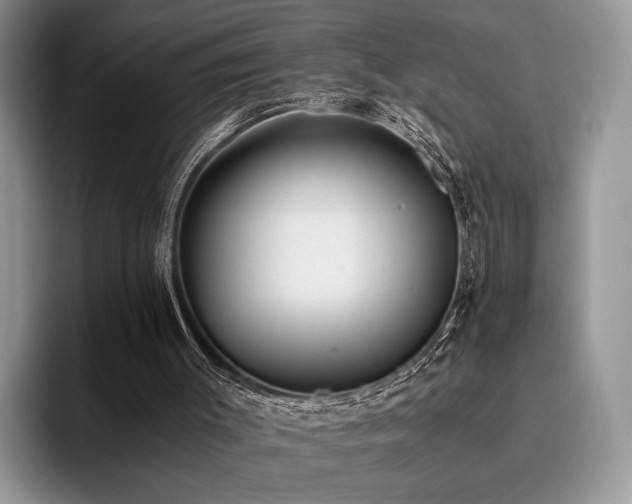 X0000096140003200801181142