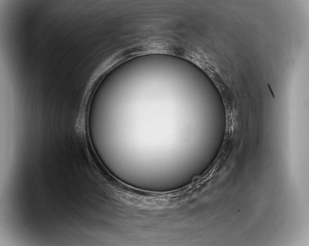 X0000096140004200801181142