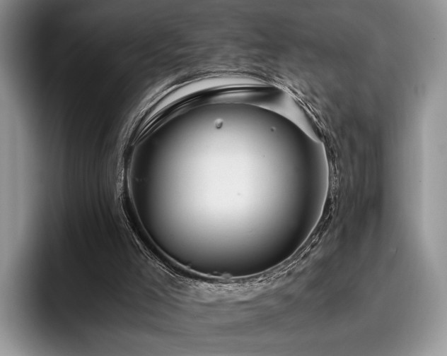 X0000096140005200801181142