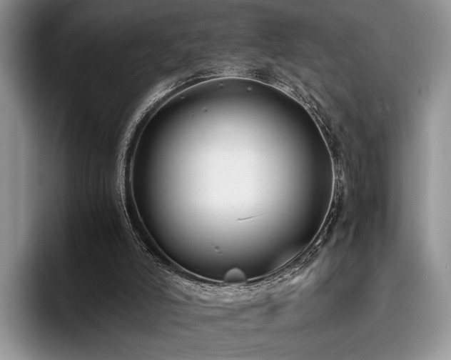 X0000096140006200801181142