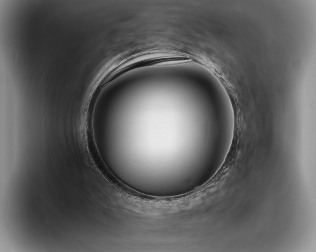 X0000096140007200801181142
