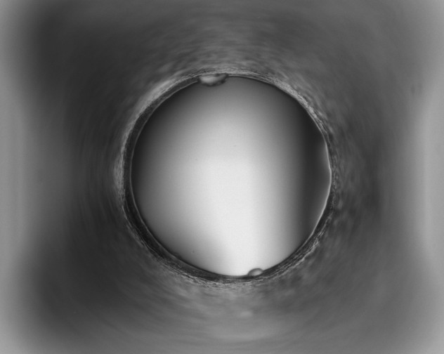 X0000096140008200801181142
