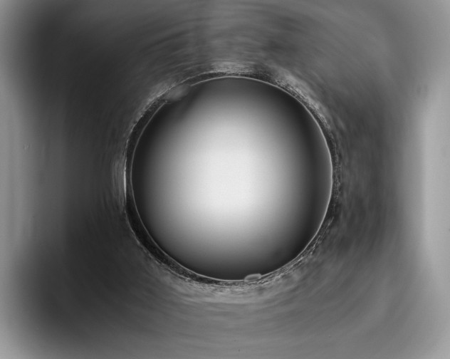 X0000096140011200801181142