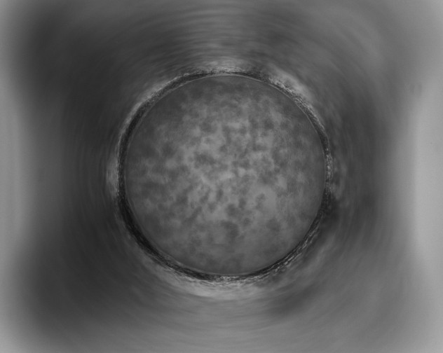 X0000096140012200801181142