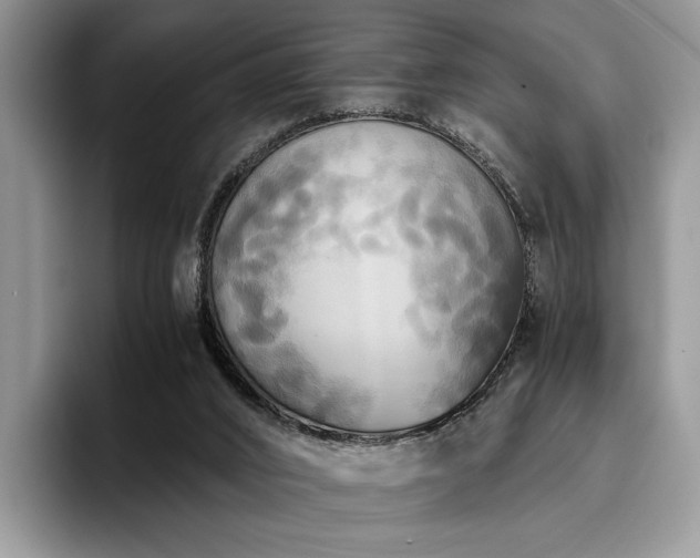 X0000096140016200801181142