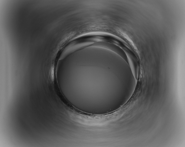 X0000096140019200801181142