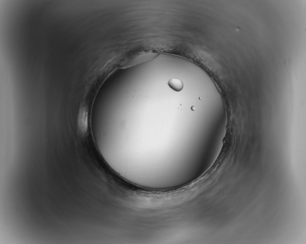 X0000096140021200801181142