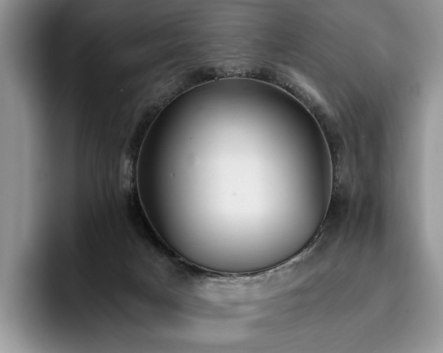X0000096140025200801181142