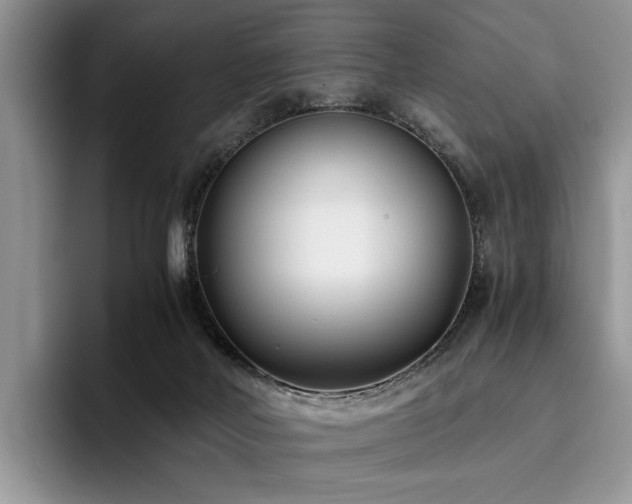 X0000096140026200801181142