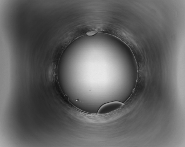 X0000096140030200801181142