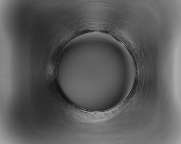 X0000096140031200801181142