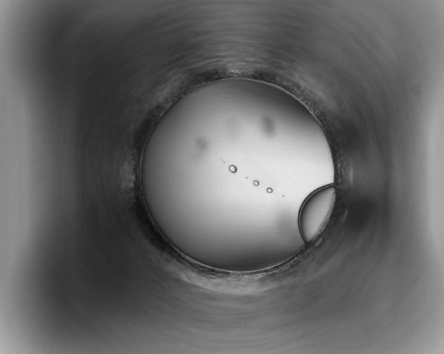 X0000096140032200801181142