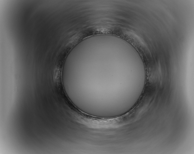 X0000096140036200801181141