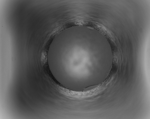 X0000096140043200801181141