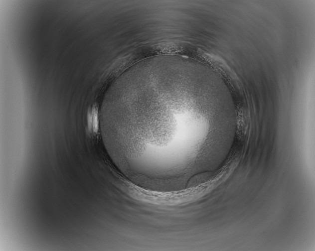 X0000096140046200801181141