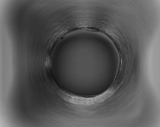 X0000096140048200801181141