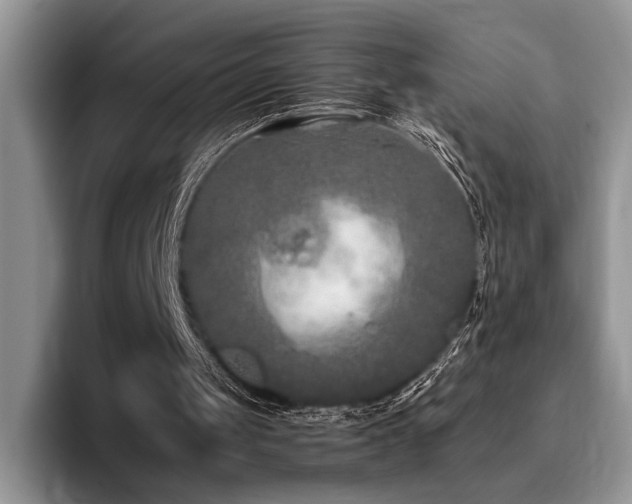 X0000096140049200801181141