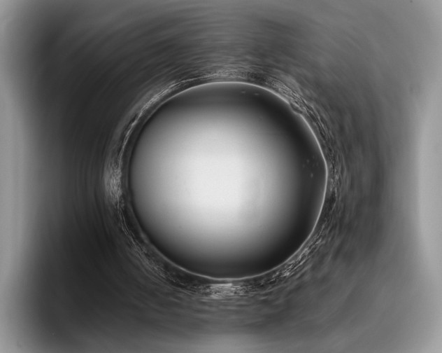 X0000096140050200801181141