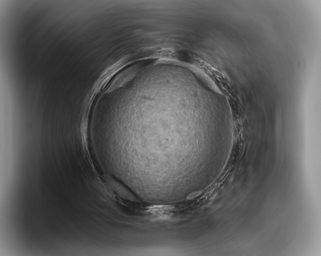 X0000096140051200801181141
