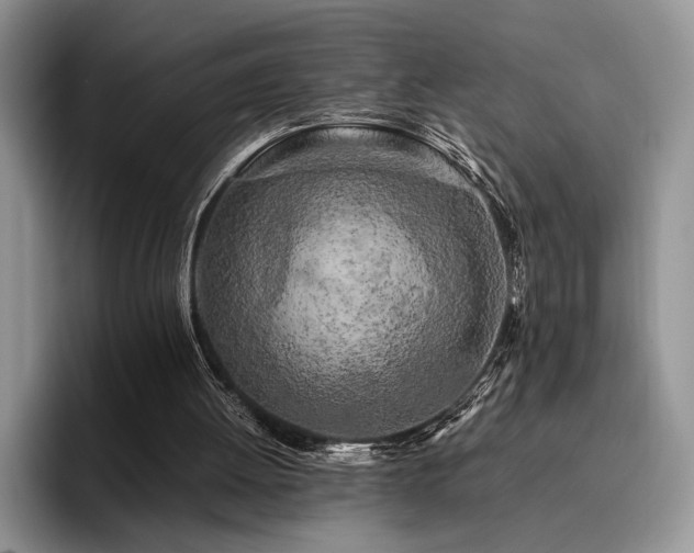 X0000096140052200801181141