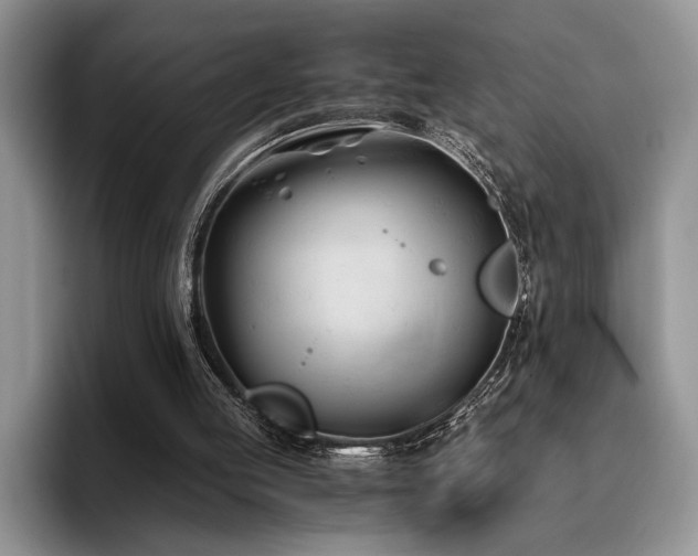 X0000096140053200801181141