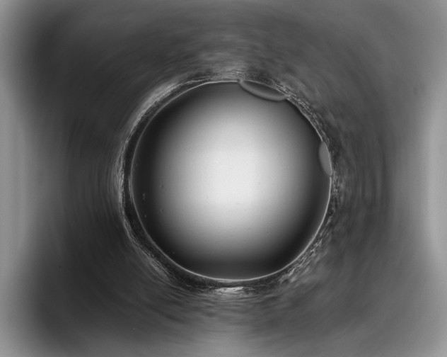 X0000096140054200801181141