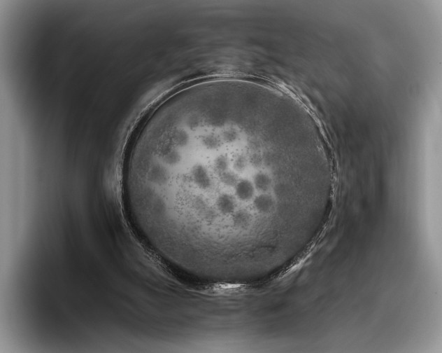 X0000096140055200801181141