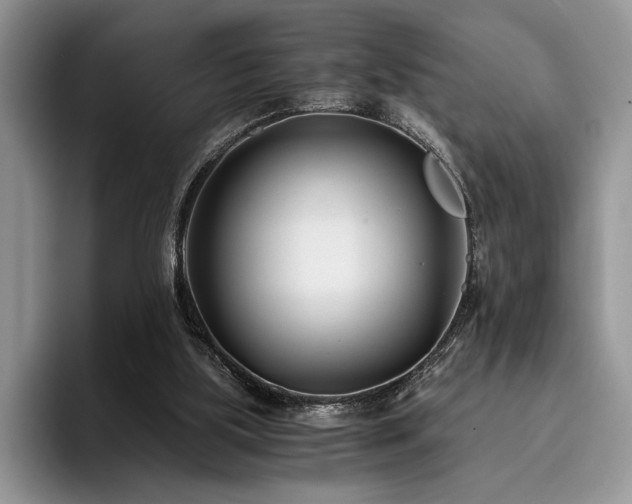 X0000096140059200801181141