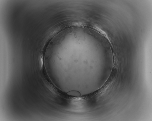 X0000096140061200801181141