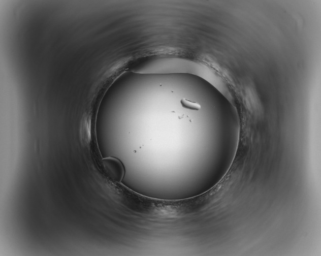 X0000096140062200801181141