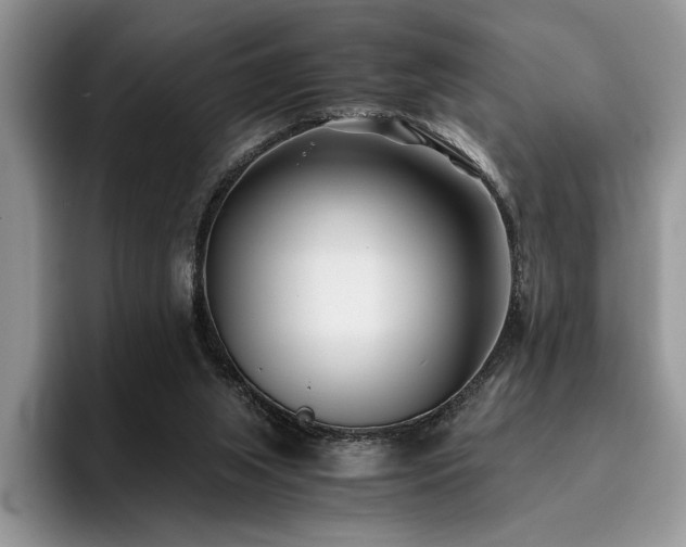 X0000096140063200801181141
