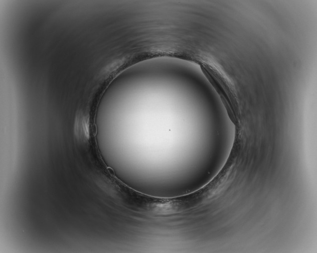 X0000096140068200801181141