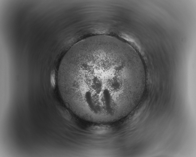 X0000096140069200801181141