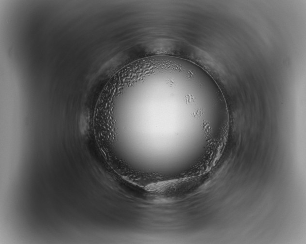 X0000096140073200801181141