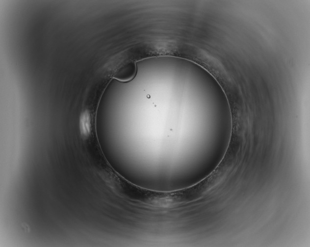 X0000096140075200801181141