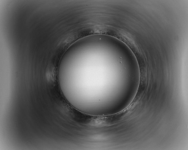 X0000096140078200801181141