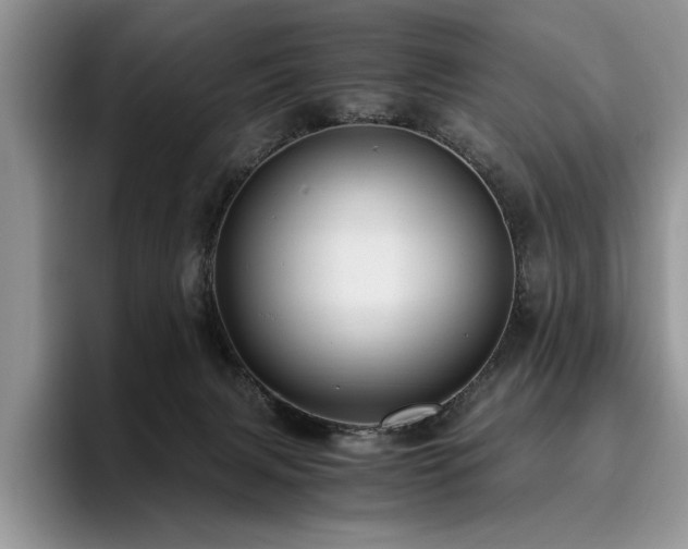 X0000096140079200801181141